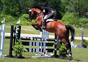 Dunhallow's Drama Queen - Jumping