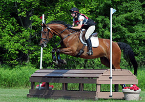 Dunhallow's Drama Queen - Jumping