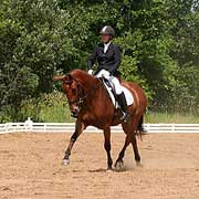 Shenanigans Big Trot